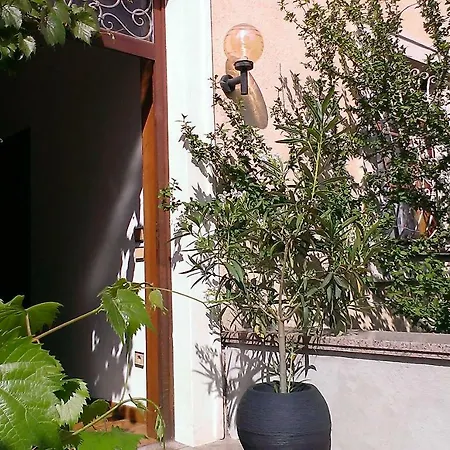 Haus Der Erholung Sud Homestay