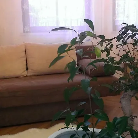 Homestay Haus Der Erholung Sud Krems an der Donau